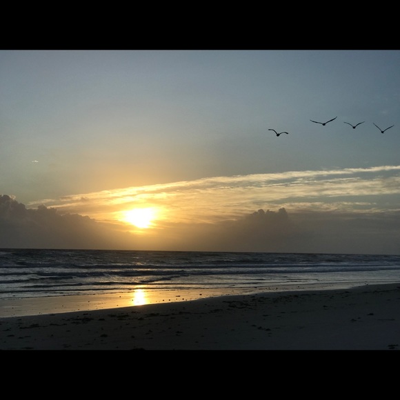 Meet your Posher, Jim - Picture 3 of 3